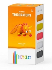 Hey Clay - Triceratops