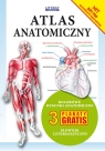 Atlas anatomiczny Kolorowe rysunki anatomiczne. 3 plakaty gratis. Słownik Praca zbiorowa