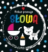 Bobas poznaje słowa Opracowanie zbiorowe