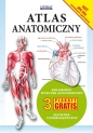 Atlas anatomiczny - Opracowanie zbiorowe