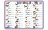 Podkładka edu. 04 - Animals - język angielski
