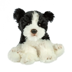 Pies Border Collie 13 cm