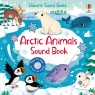 Arctic Animals Sound Book Sam Taplin