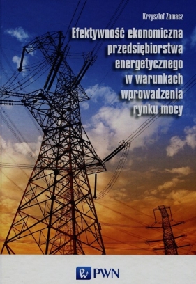 Efektywność ekonomiczna przedsiębiorstwa energetycznego w warunkach wprowadzenia rynku mocy - Zamasz Krzysztof