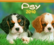 Kalendarz 2010 WL08 Psy rodzinny