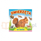 Zwierzęta w lesie. Sztywne strony