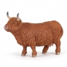  Krowa Highland Cattle