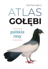 Atlas gołębi Polskie rasy Uglorz Manfred