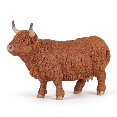 Krowa Highland Cattle