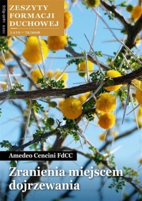 Zeszyty Formacji Duchowej nr 72 Zranienia miejscem - Amedeo Cencini