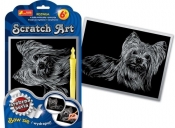 Scratch Art Pies