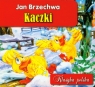 Kaczki Jan Brzechwa