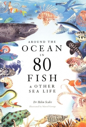 Around the Ocean in 80 Fish and other Sea Life - Scales Helen