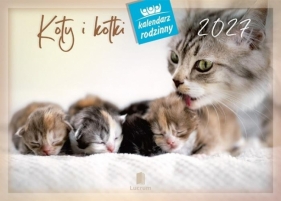 Kalendarz 2027 rodzinny Koty i kotki