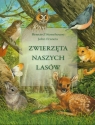 Zwierzęta naszych lasów