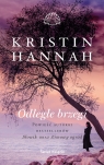 Odległe brzegi (wydanie pocketowe) Kristin Hannah