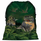 Worek na obuwie Dinozaur 11 DERFORM