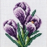 Haft krzyżykowy - Krokusy
