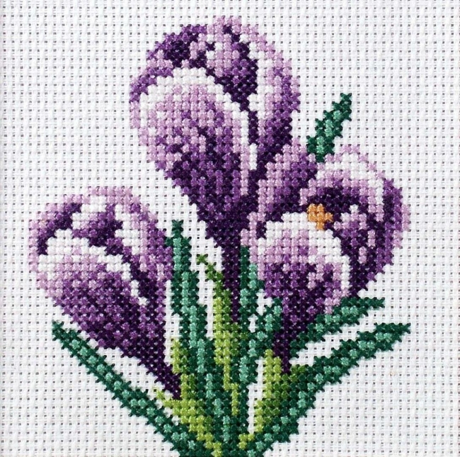 Haft krzyżykowy - Krokusy