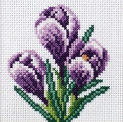 Haft krzyżykowy - Krokusy