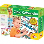 Karotka Ciało Człowieka (41787)