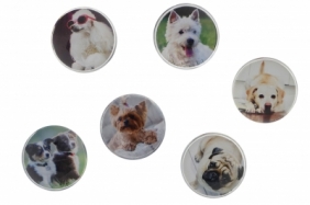 Magnesy Fun&Joy, 6 szt. - Pies (443874)