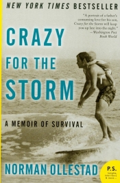 Crazy for the Storm