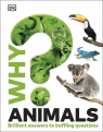 Why? Animals. Brilliant Answers to Baffling Questions Opracowanie zbiorowe