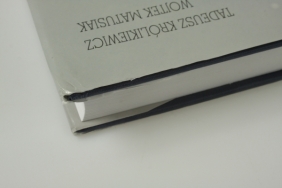 Polski samolot i barwa (Uszkodzona okładka) - Królikiewicz Tadeusz, Matusiak Wojtek