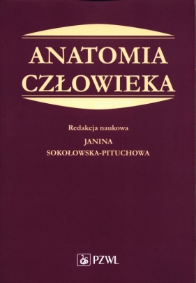 Anatomia człowieka Podręcznik dla studentów medycyny