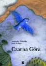 Czarna Góra