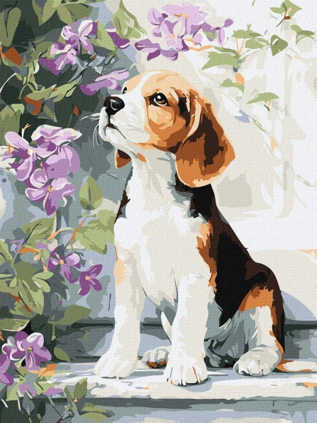 Malowanie po numerach - Beagle wśród kwiatów 30x40