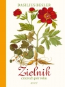 Zielnik czterech pór roku Basilius Besler