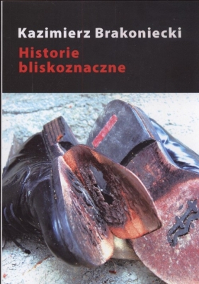 Historie bliskoznaczne - Brakoniecki Kazimierz