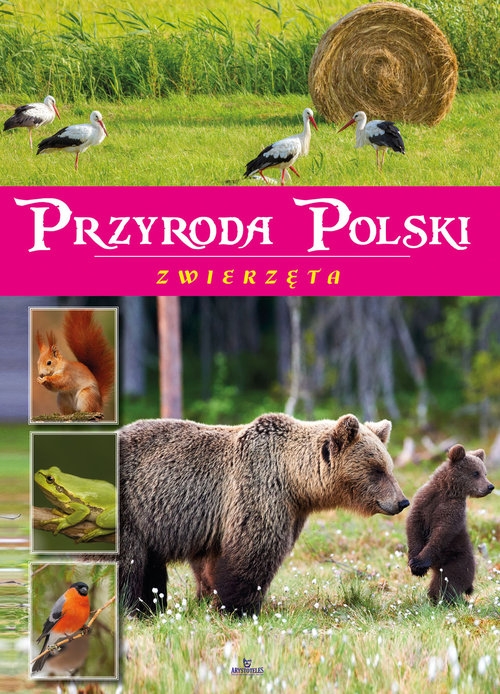 Przyroda Polski Zwierzęta