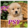 Kalendarz 2027 wieloplanszowy 33x33cm Psy
