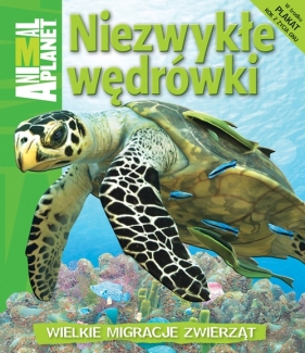 Niezwykłe wędrówki - Dwight Holing