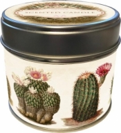Zapachowa świeczka 79 - kaktusy - zapach pomarańcz