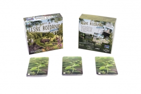 Leśne rozdanie: Na skraju lasu (rozszerzenie) - Kosch