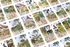 Leśne rozdanie: Na skraju lasu (rozszerzenie) - Kosch