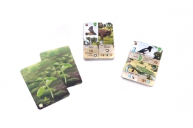 Leśne rozdanie: Na skraju lasu (rozszerzenie) - Kosch