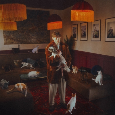 <img src='https://webimage.pl/pics/792/2/d5906409122792.jpg' style='height:440px' /> Mój kot zaginął i już raczej nie wróci