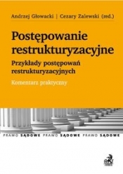 Postępowanie restrukturyzacyjne. Przykłady postępowań restrukturyzacyjnych. Komentarz praktyczny