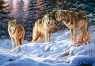 Puzzle 500 Wolves (51793)