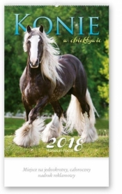 Kalendarz reklamowy 2018 - Konie w obiektywie RW29