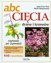 ABC cięcia drzew i krzewów