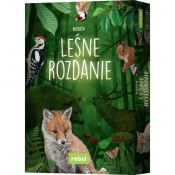 Leśne rozdanie - Kosch