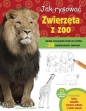Jak rysować Zwierzęta z zoo - Robin Cuddy