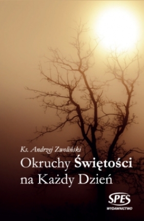 Okruchy świętości na każdy dzień - Zwoliński Andrzej