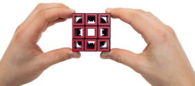 Łamigłówka Hollow Cube - poziom 3,5/5 (108701)